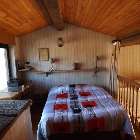 T3 Tres Agreable, 2 Terrasses, Bien Place Amelie-les-Bains-Palalda ภายนอก รูปภาพ